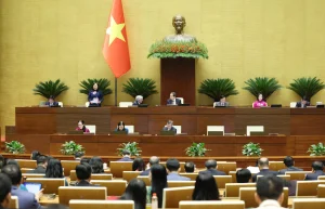 Thuế Minh Anh